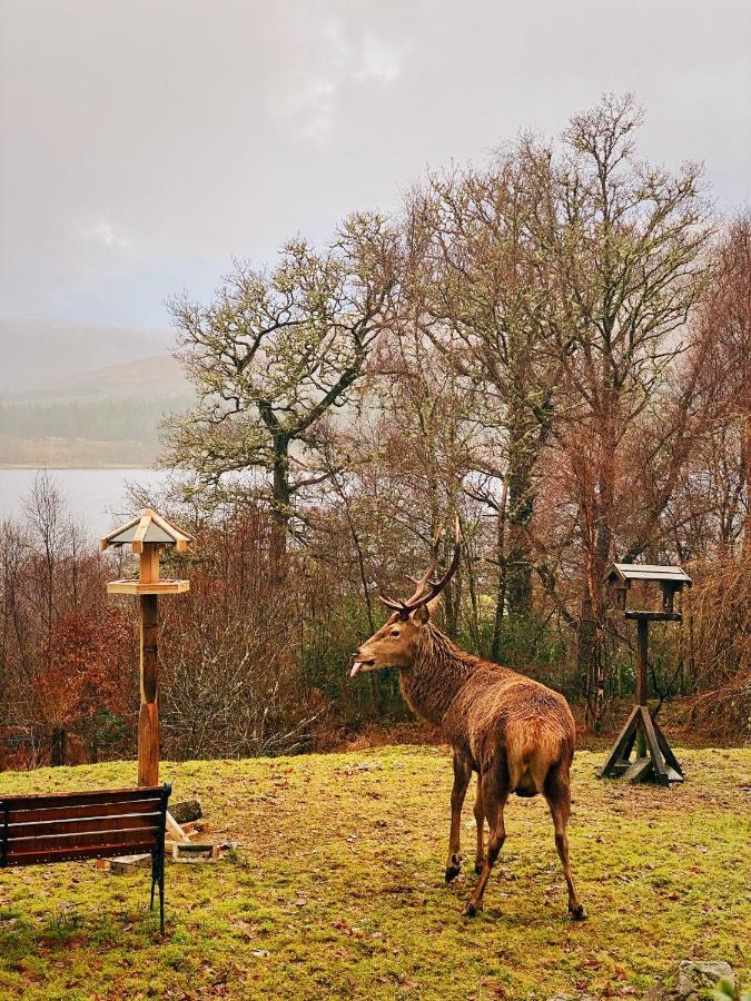 Tarmachan Cottage - West Highland Getaway Fort William Exterior foto